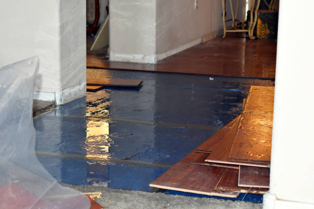 Professional Sewage Cleanup technician working in Latham, MO